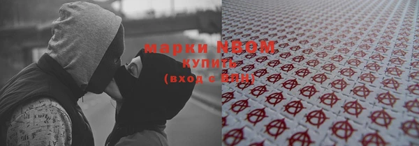 дурь Лабытнанги